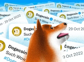 DogeChain закрывается: выводите Dogecoin (DOGE) уже сейчас