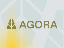 Компания Agora получила $12 млн инвестиций для запуска стейблкоина